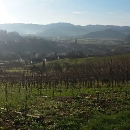 Ξενοδοχείο Gaestehaus Tagescafe Eckenfels Ohlsbach