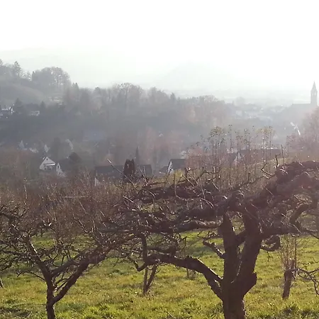 Hotell Gaestehaus Tagescafe Eckenfels